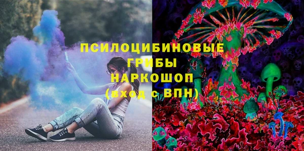 гашик Волосово