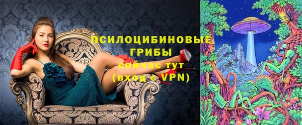 твердый Володарск