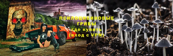 твердый Володарск