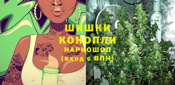 гидра Верея